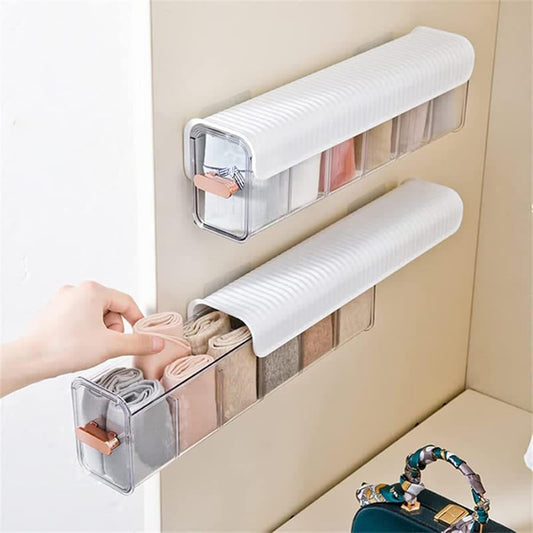 Socks & Inners Organizer for Wardrobe | Undergarment Storage Box | Multi-Compartment Closet Organizer for Socks, Bras, Panties, Ties & Cosmetics